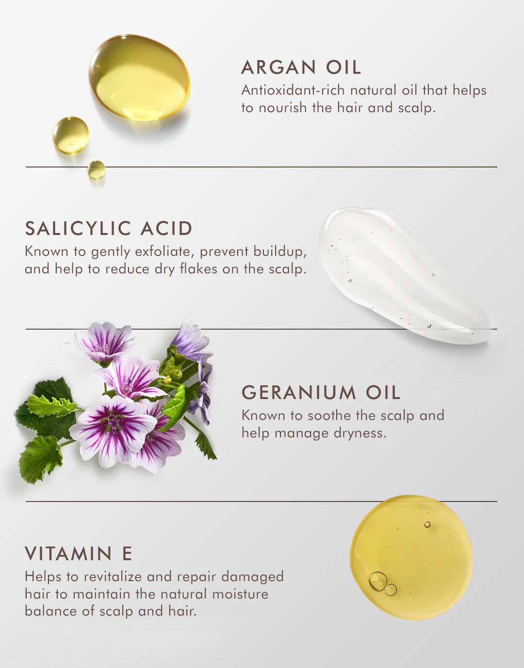 Traitement Cuir Chevelu Sec – Image 4