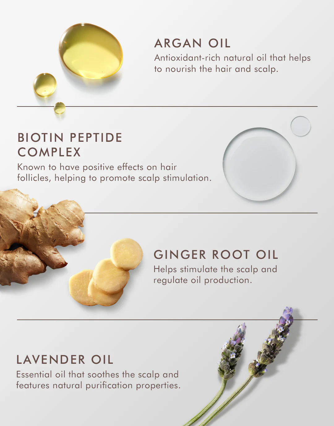 Traitement Cuir Chevelu Gras – Image 4