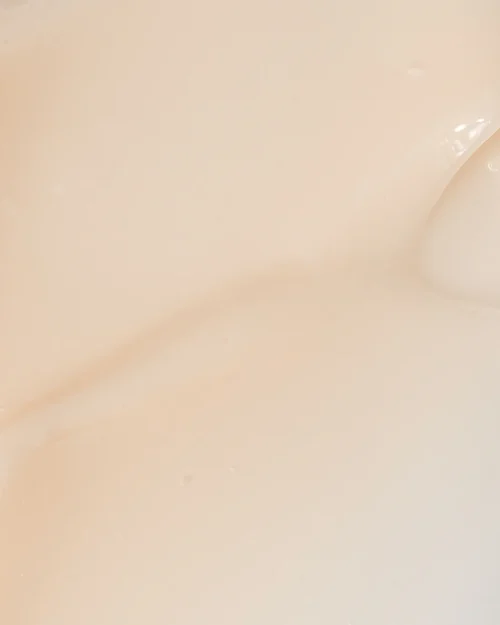 DERMA-V – Image 3