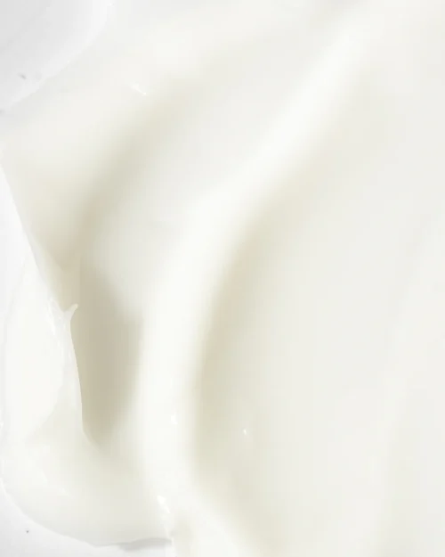 LEXXEL – Image 3